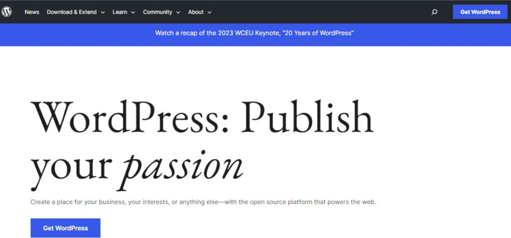 wordpress blogs website